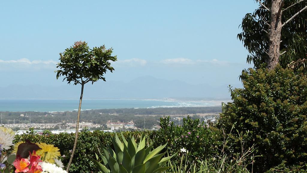 Somerset Sights B&B Somerset West Kültér fotó